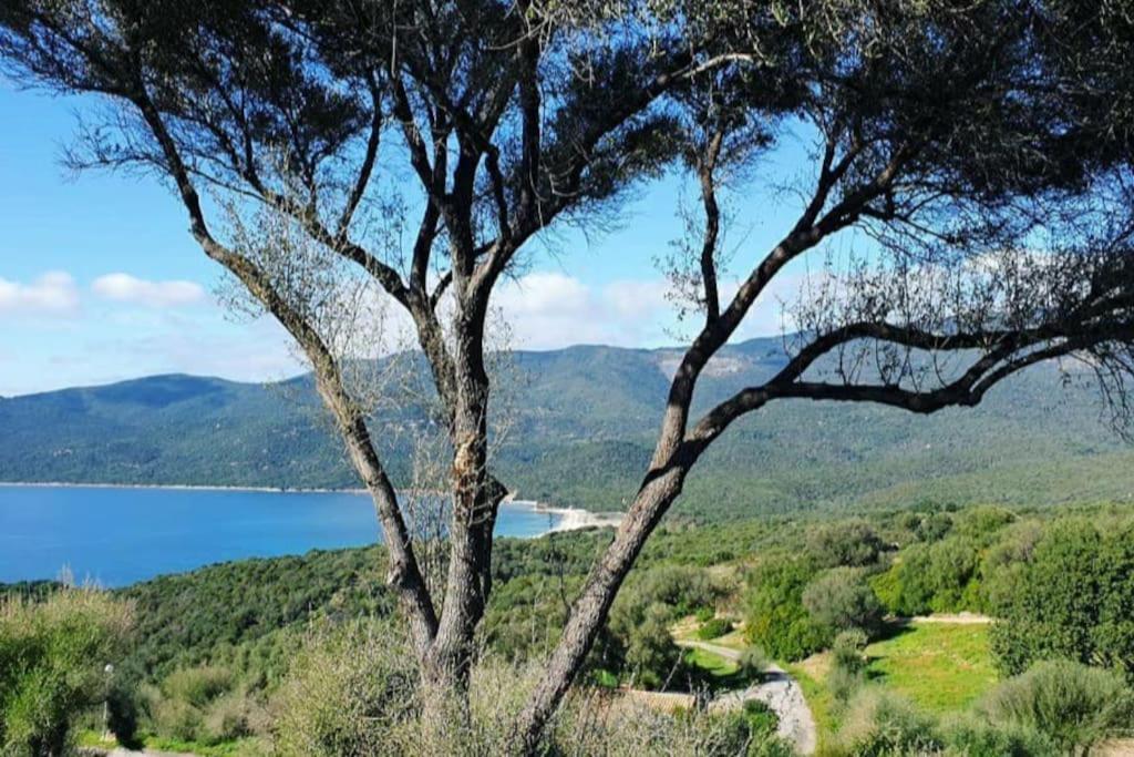 Mini Villa 72, Residence Avec Piscine. Serra-di-Ferro Kültér fotó